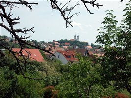 DSCF0310