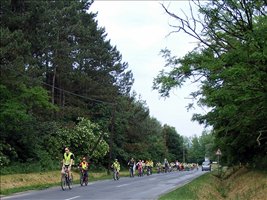DSCF1037