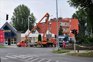 DSC_7698