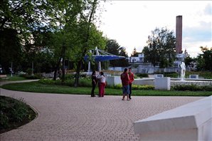 DSC_8231
