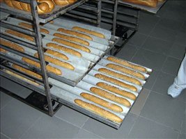 IMG_3289