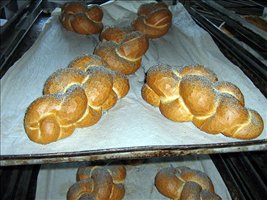 IMG_3327