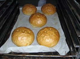 IMG_3329