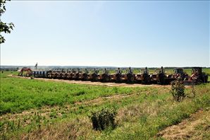 DSC_5119
