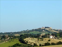 DSC00599