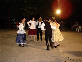 DSC00781