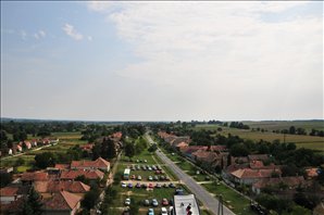 DSC_4391