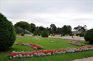 DSC_5576