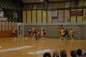 DSC_8011_800x536