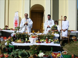 DSCN0377