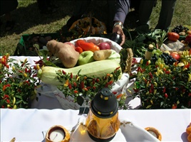 DSCN0492