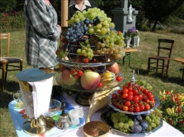 DSCN0493