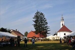 DSC_7587