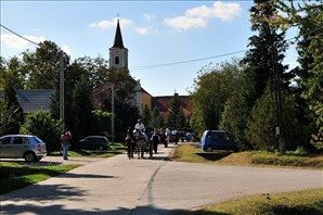 DSC_1587