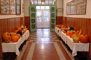 BLS_3951