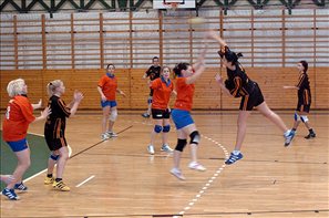 SPR_6295