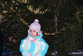 DSC_8532v2