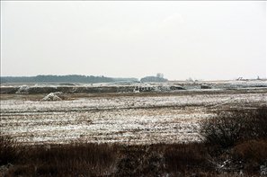 D2H_2515