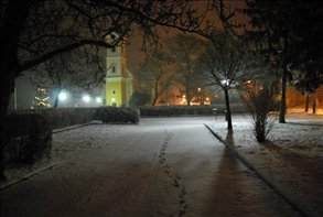 DSC_8797