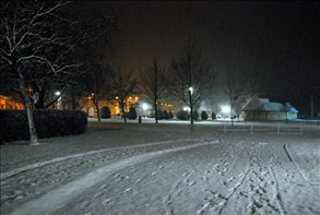 DSC_8802