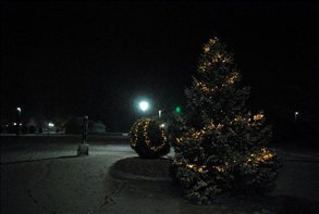 DSC_8803