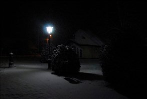 DSC_8817