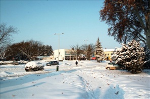 D2H_4124