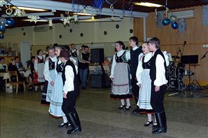BLS_0113
