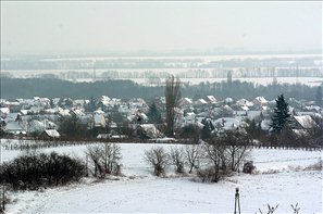 BLS_0691