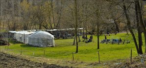 DSC_0533_1