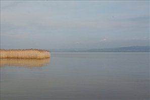 SPR_9451