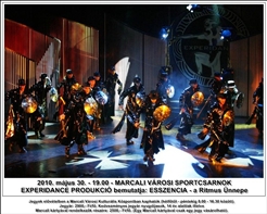 image_0009