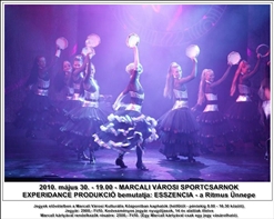 image_0015