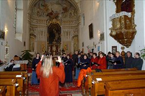 BLS_7767