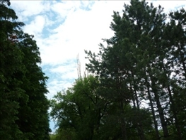 P1000985