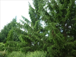 P1000997