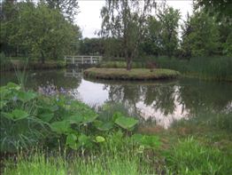 IMG_4752