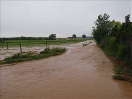 P5310203