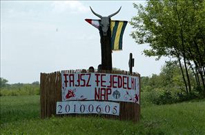 D2H_3369