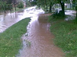 20100616(010)