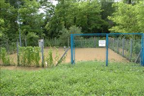 D2H_7129