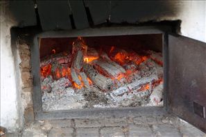 VZA_5381
