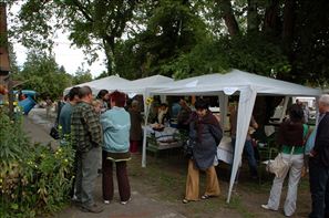 VZA_5424