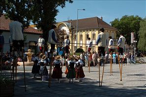 VZA_6148