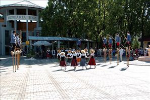VZA_6169
