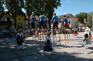 VZA_6201