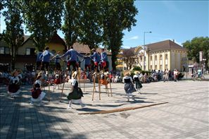 VZA_6205