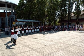 VZA_6244