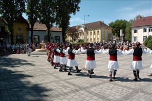 VZA_6293