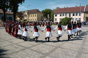 VZA_6294